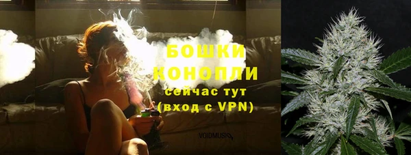 амф Верхний Тагил
