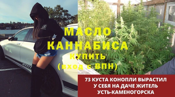 амф Верхний Тагил