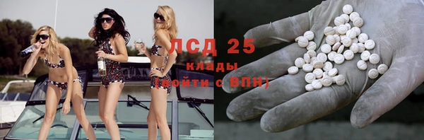 стафф Богданович