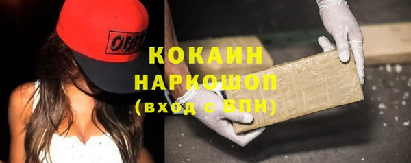 стафф Богданович