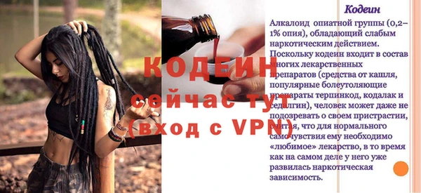 амф Верхний Тагил