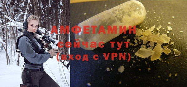 стафф Богданович