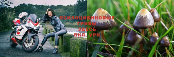 таблы Белокуриха