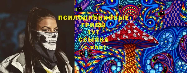 прущие грибы Верхнеуральск